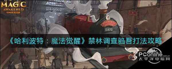 哈利波特:魔法觉醒禁林调查驺吾打法攻略