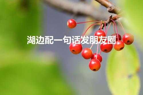 湖边配一句话发朋友圈（适合发湖边美景朋友圈的句子）