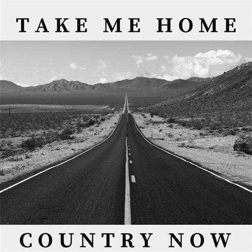 【乡村蓝调(H)】VA-2023-TakeMeHome-CountryNow(FLAC)