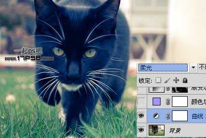 photoshop将可爱的猫咪图片打造出复古老照片效果