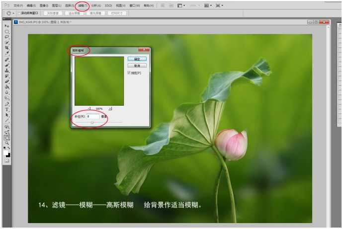 Photoshop为荷花图片简单虚化背景突出主体