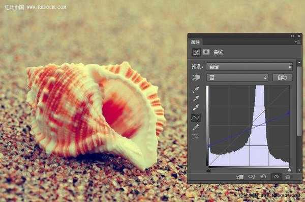 Photoshop调出诗意的沙滩贝壳