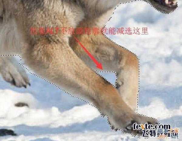 PS合成从冰雪地里冲出来的狼特效教程