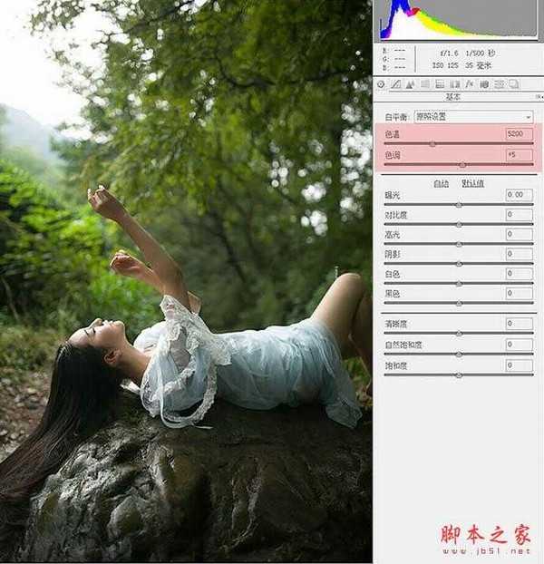 Photoshop将树林人物图片打造梦幻的中性绿褐色