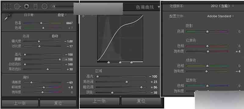 PS打造梦幻唯美的花海人像照片