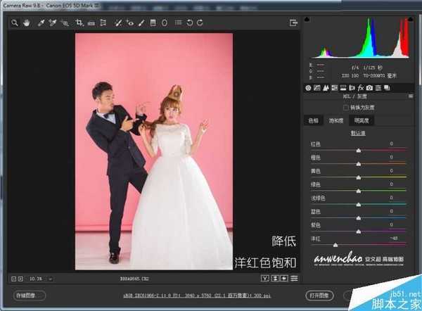 Photoshop调出活泼小清新的室内婚纱照片