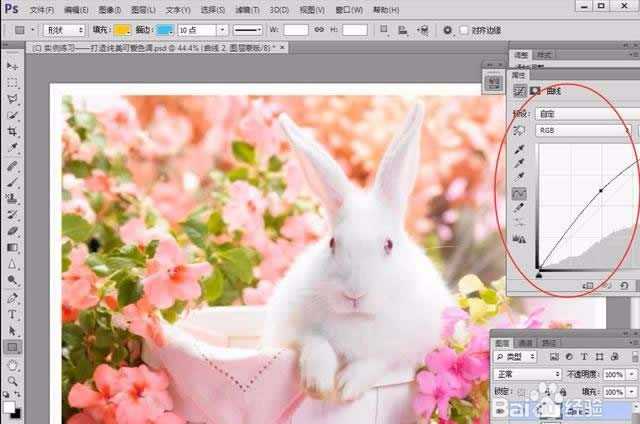 ps兔子海报怎么做后期调色?