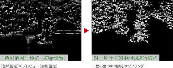 ps怎么改变爬山虎的颜色? ps给树叶调色的教程