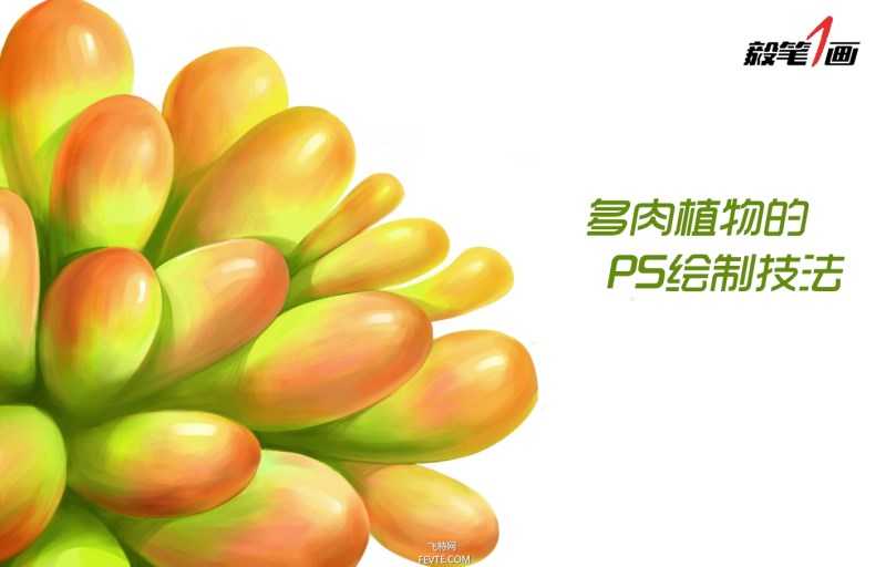 PS鼠绘小清新多肉植物插画教程